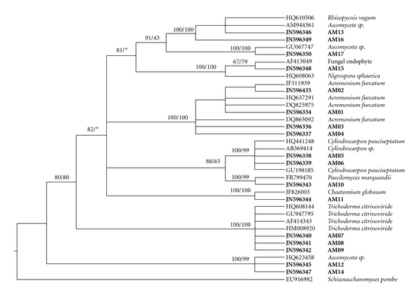 Figure 2