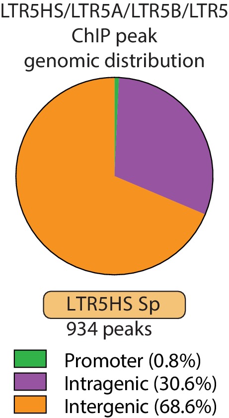 Figure 2—figure supplement 2.