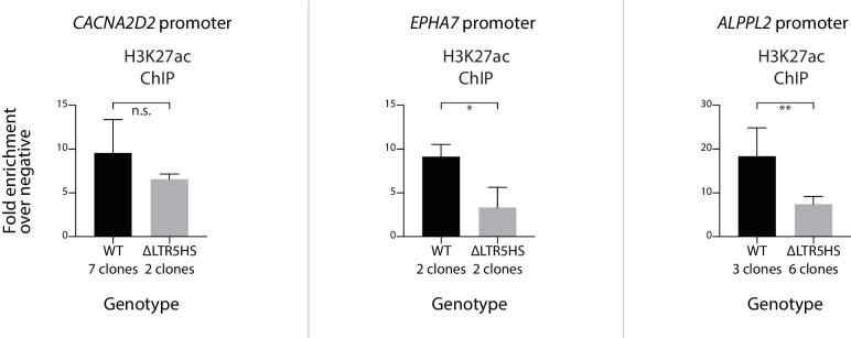 Figure 6—figure supplement 1.