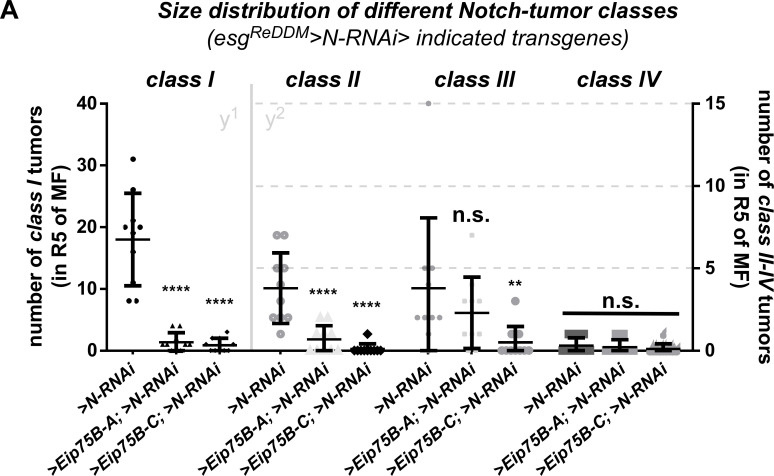 Figure 6—figure supplement 1.