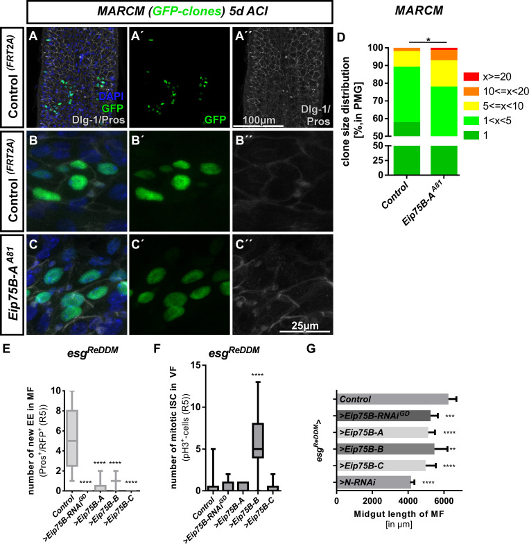 Figure 3—figure supplement 1.