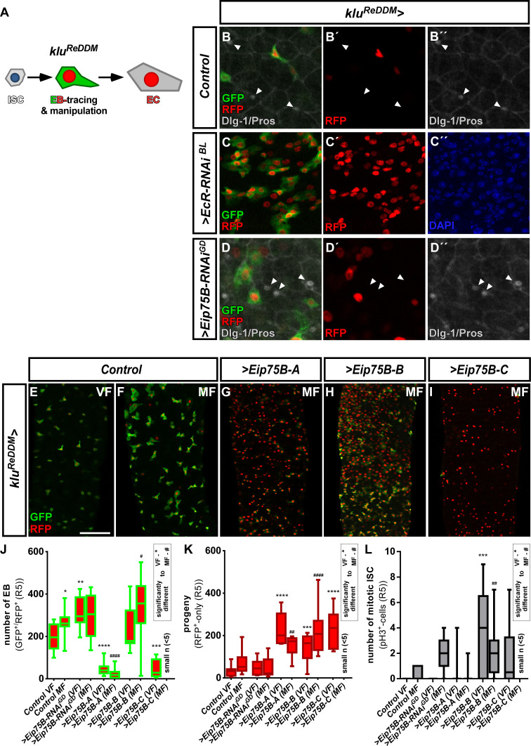 Figure 3—figure supplement 2.