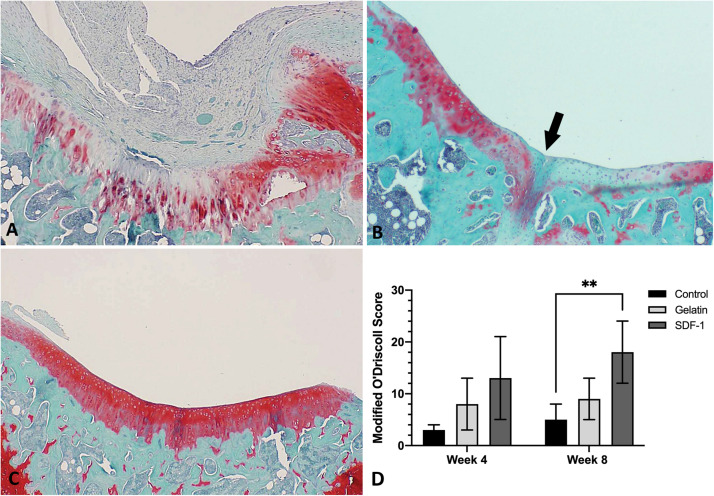 FIGURE 3