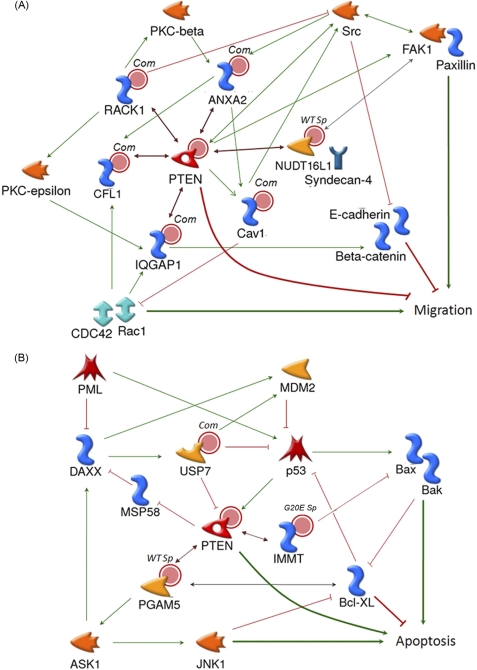 FIGURE 6.