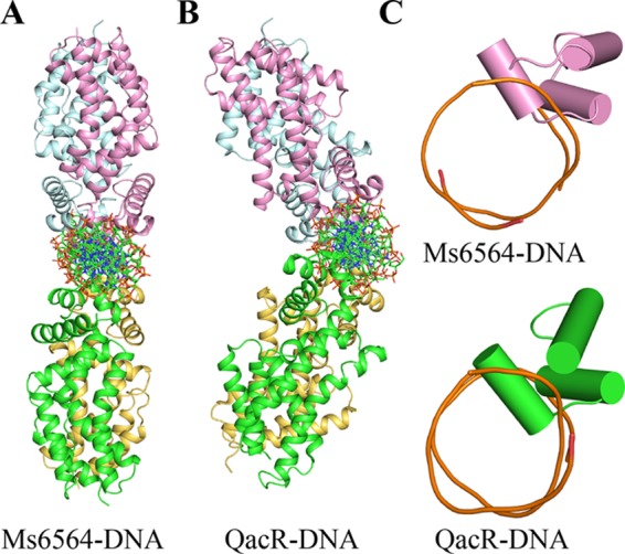 FIGURE 2.