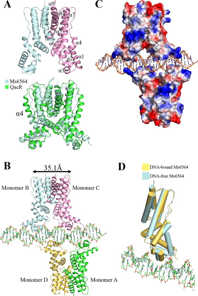 FIGURE 1.