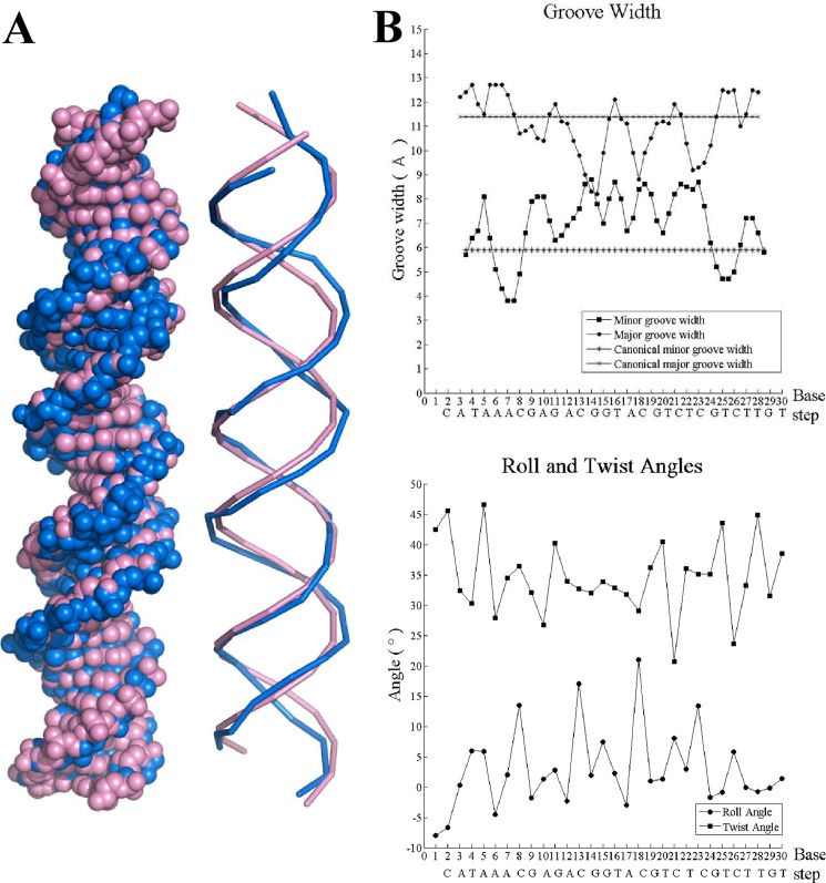 FIGURE 3.