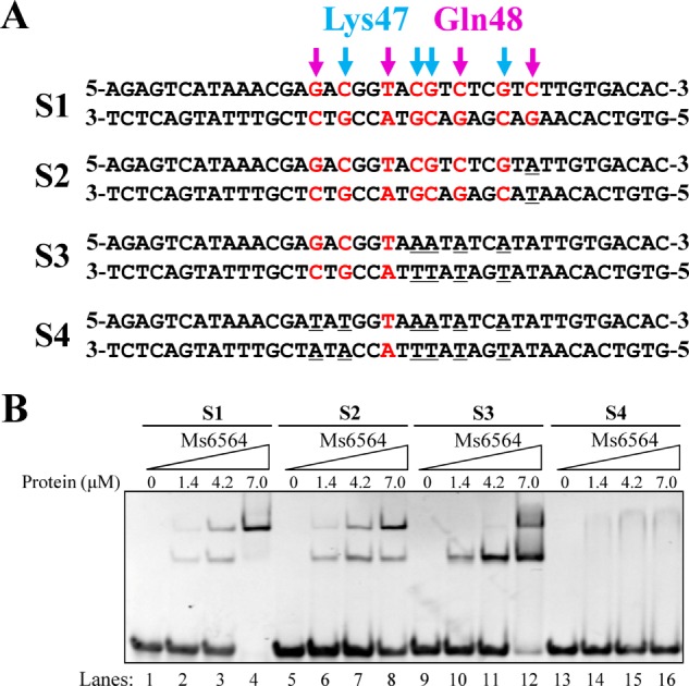 FIGURE 6.