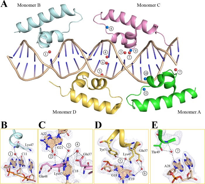 FIGURE 4.