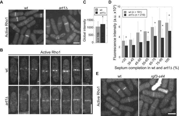 FIGURE 6: