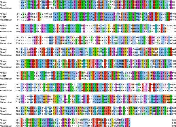 Extended Data Figure 7