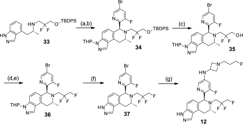 Scheme 6