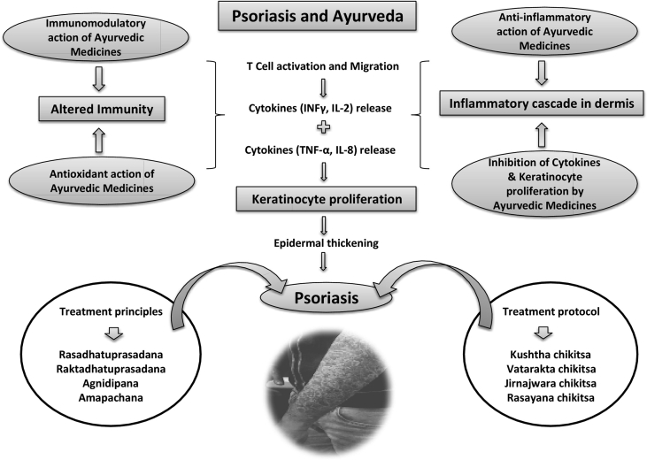 Fig. 2