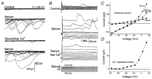 Figure 11