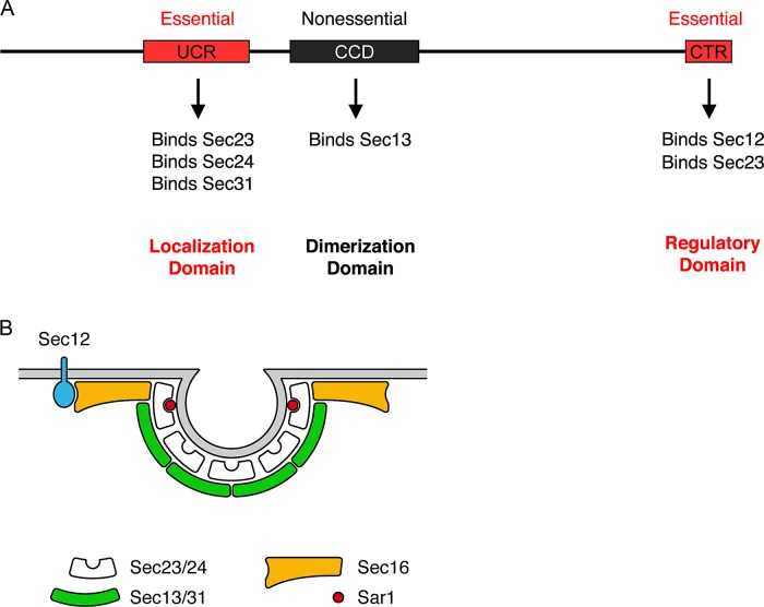 FIGURE 9: