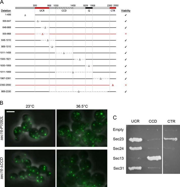 FIGURE 1: