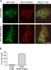 FIGURE 3: