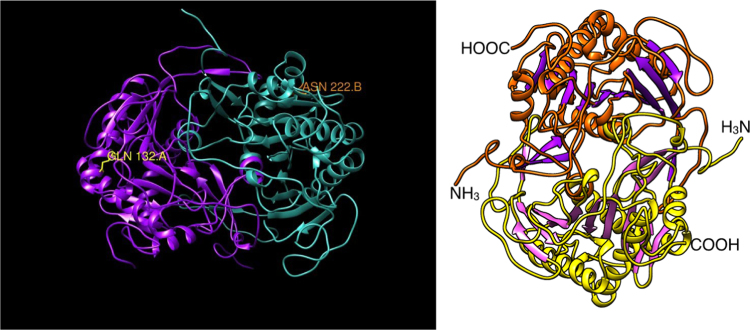 Fig. 4