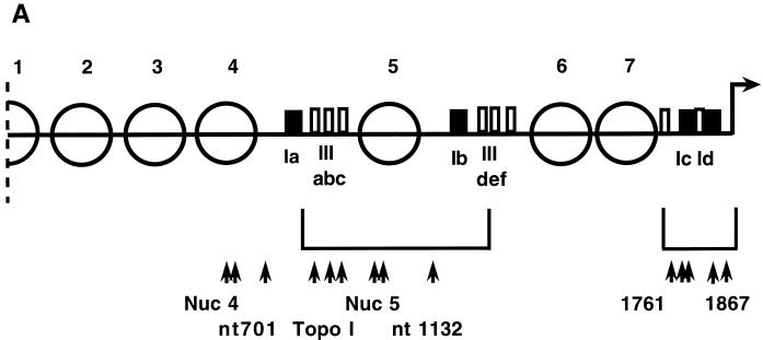 FIG. 6