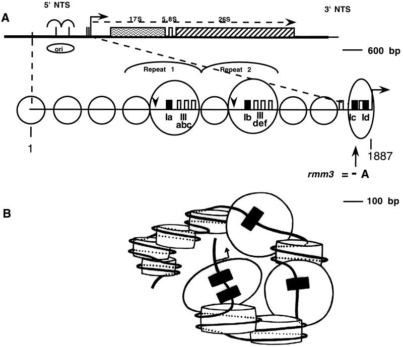 FIG. 9