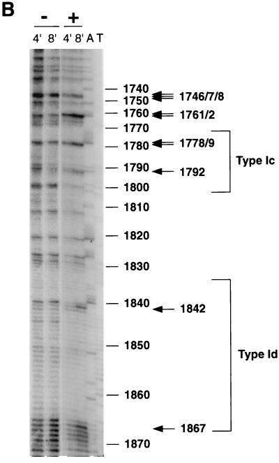 FIG. 6