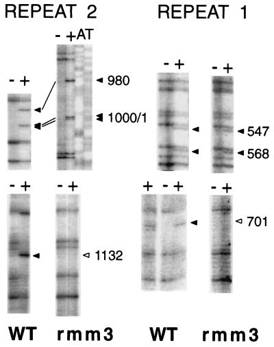 FIG. 8