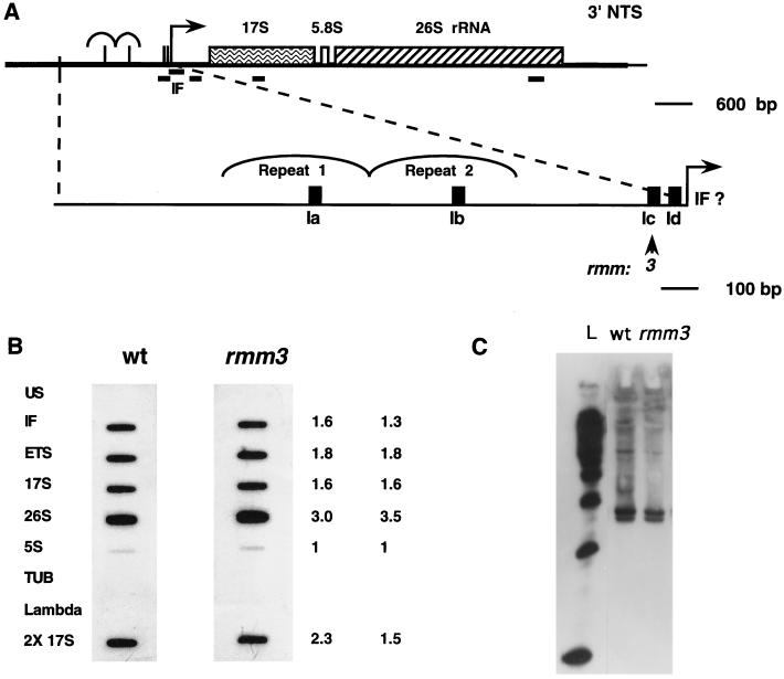 FIG. 5