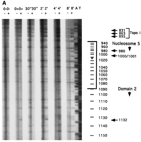 FIG. 7