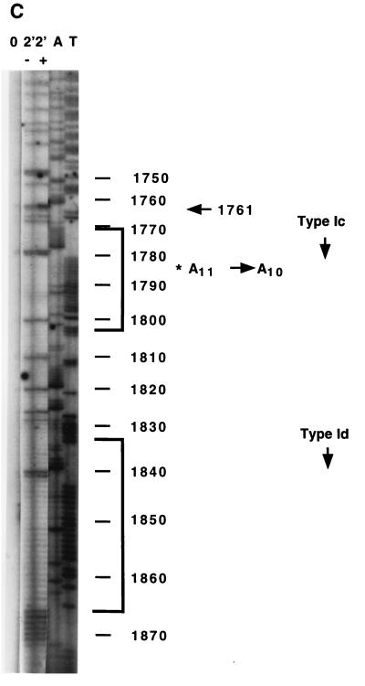 FIG. 6