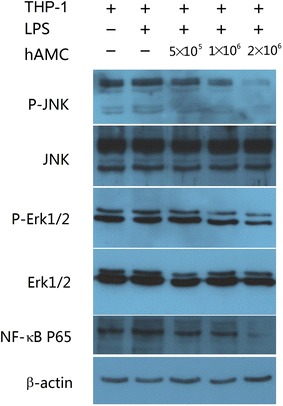 Fig. 6