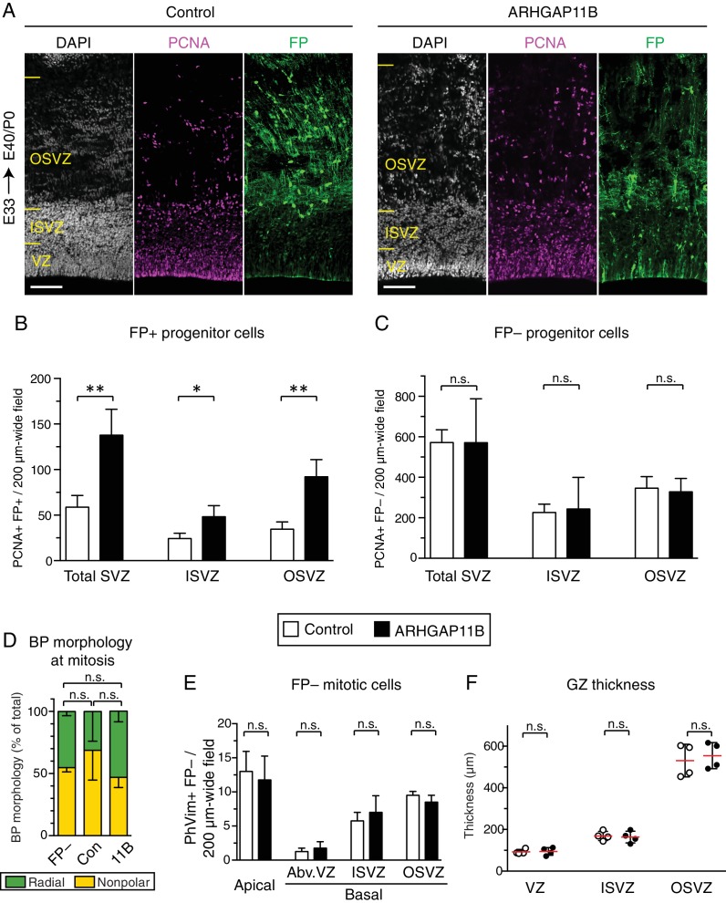 Figure 1—figure supplement 2.