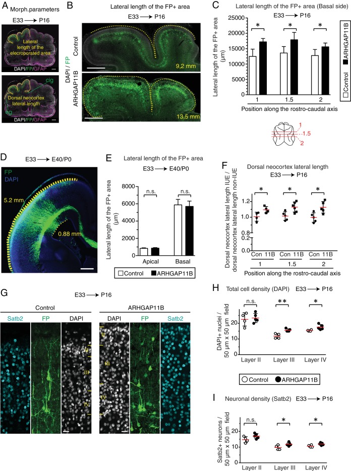 Figure 4—figure supplement 5.