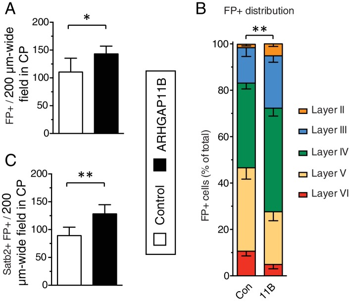 Figure 4—figure supplement 1.