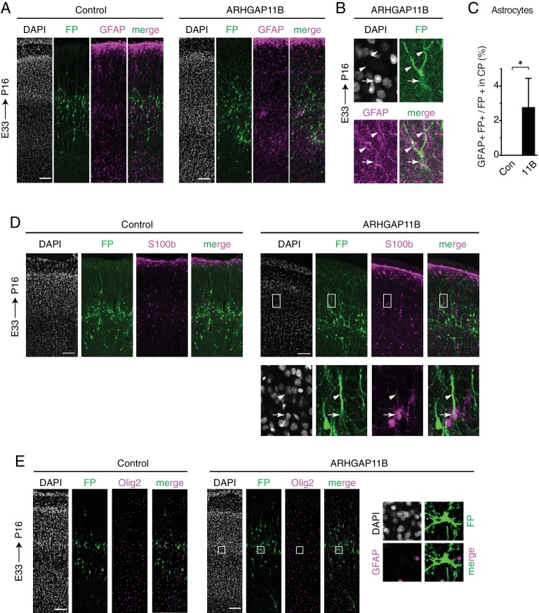 Figure 4—figure supplement 6.