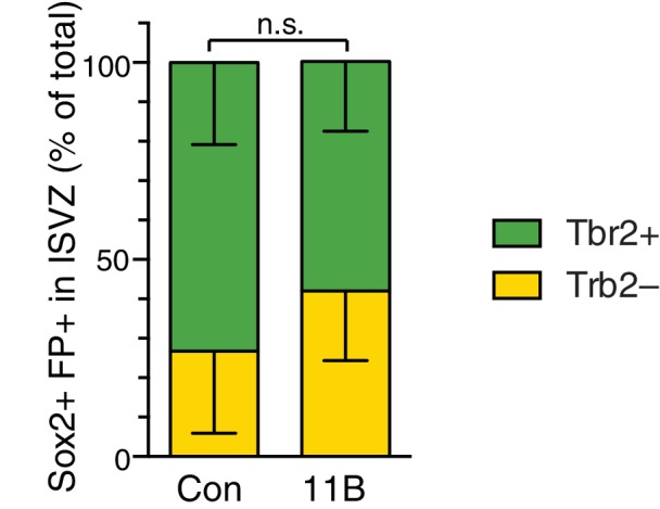 Figure 2—figure supplement 1.