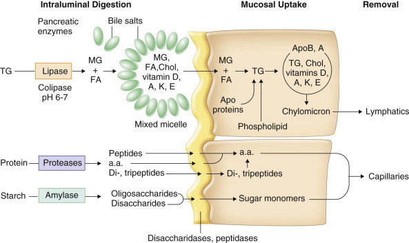 FIGURE 142-5