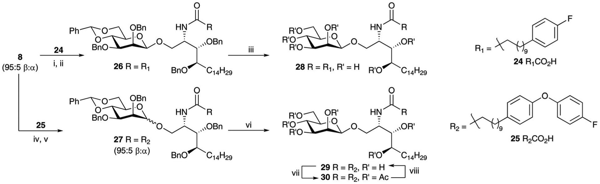 Scheme 8