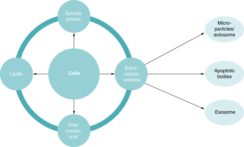 Figure 2. 