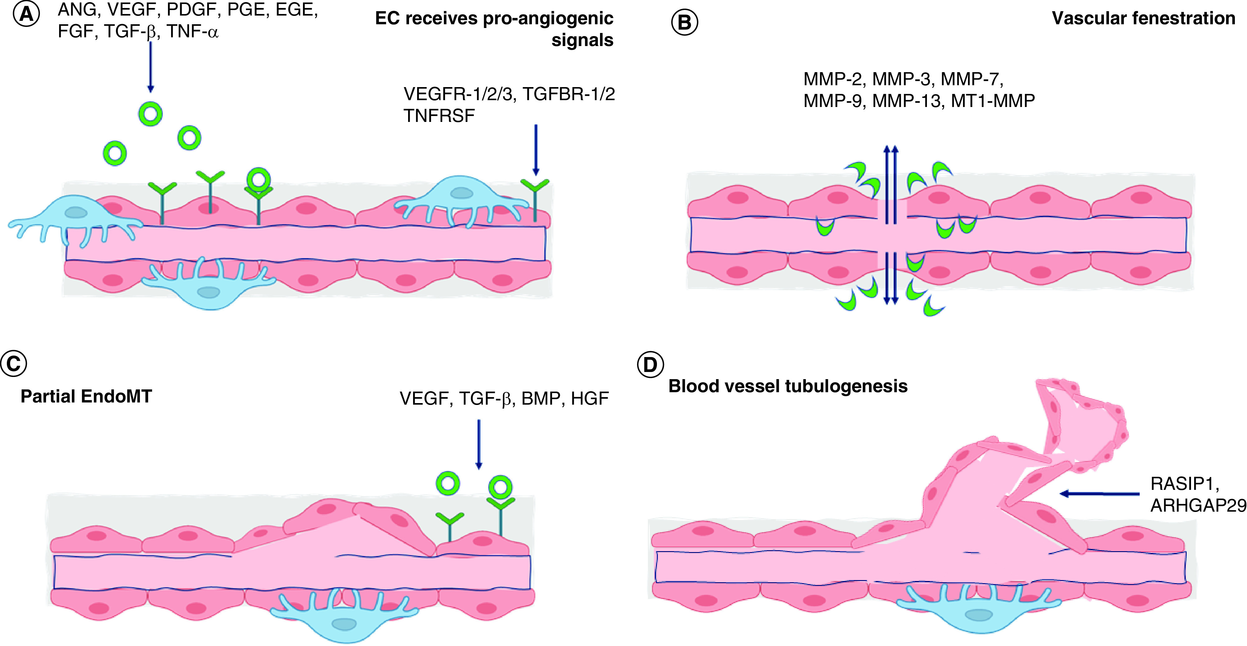 Figure 6. 