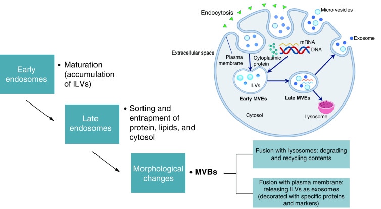 Figure 4. 