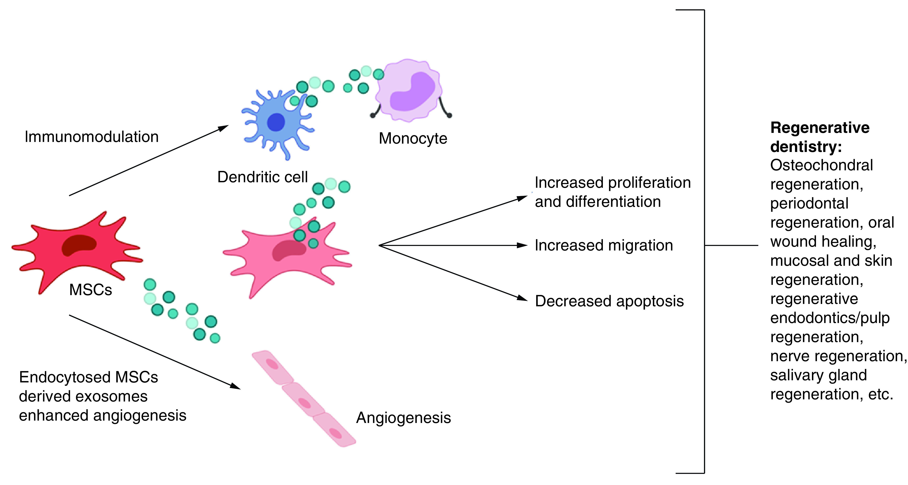 Figure 5. 