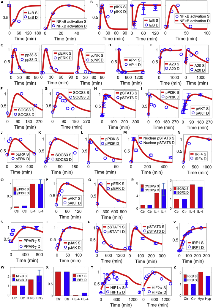 Figure 2