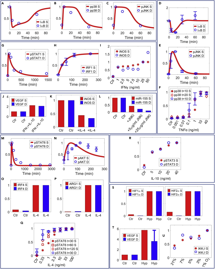 Figure 4