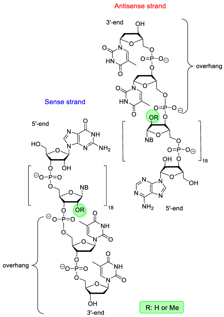 Figure 17