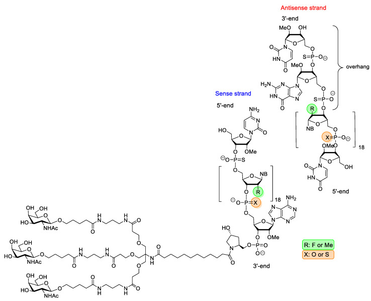 Figure 20