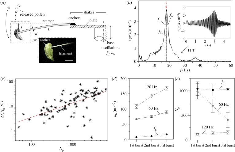 Figure 1.