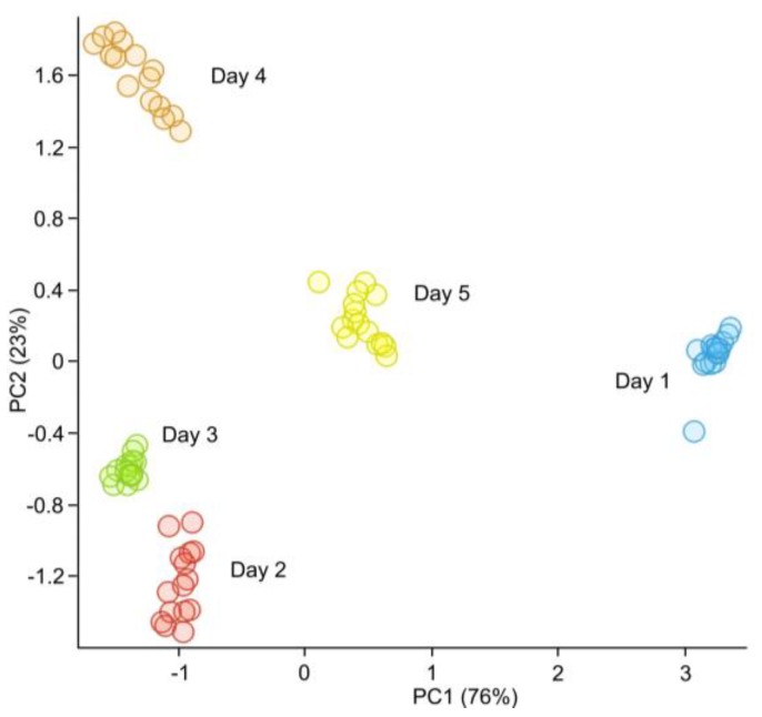 Figure 5