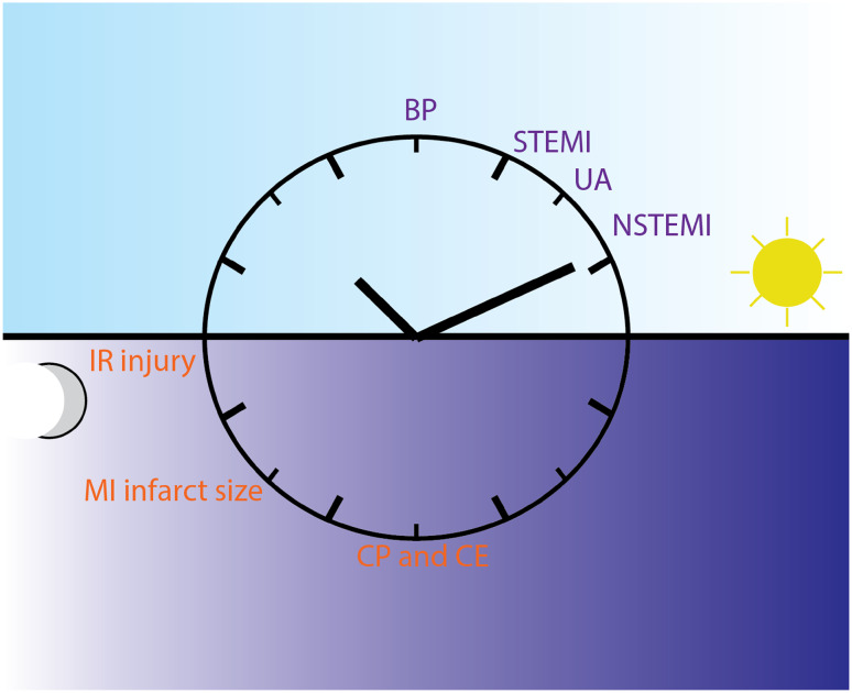 Fig. 2