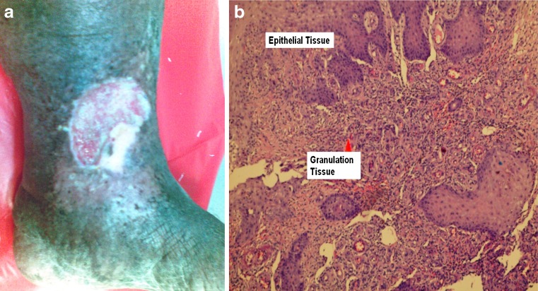 Fig. 2