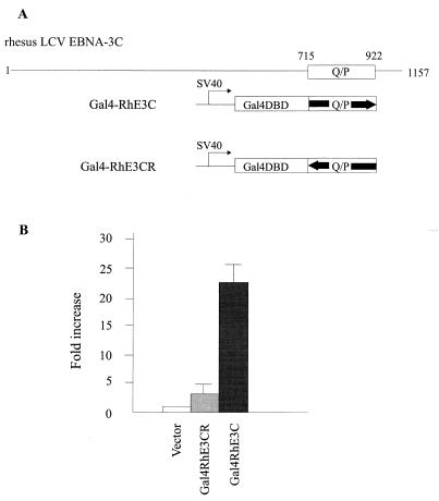 FIG. 6